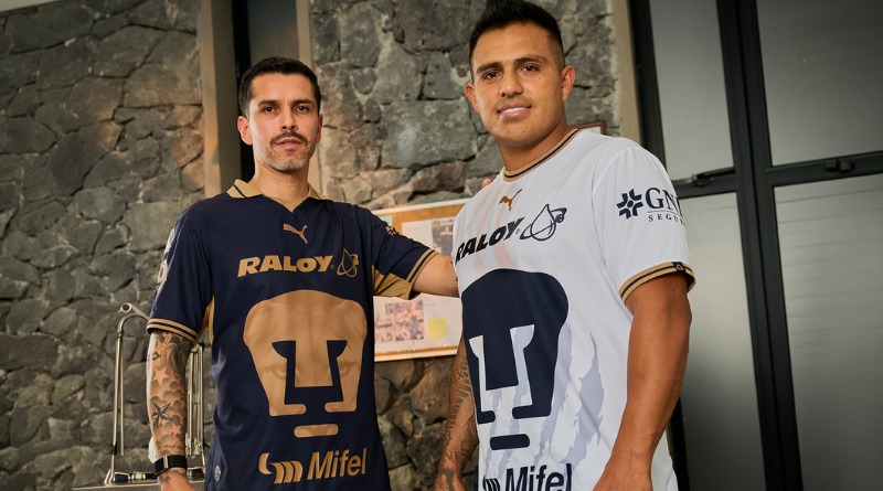 DESVELAN NUEVA PIEL DE PUMAS