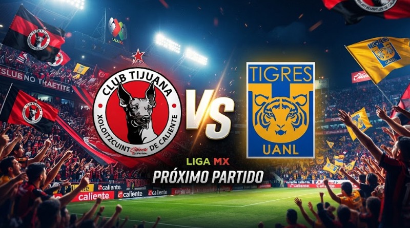 XOLOS Y TIGRES: TODO LO QUE REQUIERES SABER