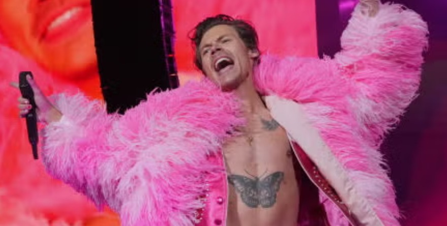 ¿ESTUVO A PUNTO HARRY STYLES DE SUFRIR UN GOLPE?