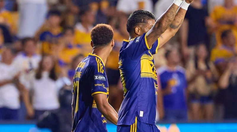 LA ÚLTIMA ESPERANZA PERMANECE AFERRADA EN TIGRES