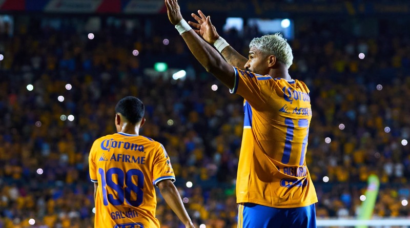 TRIUNFO QUE LLEGA FINALMENTE A TIGRES